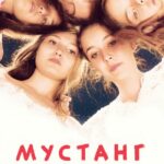 Мустанг Постер Домашний ТВ
